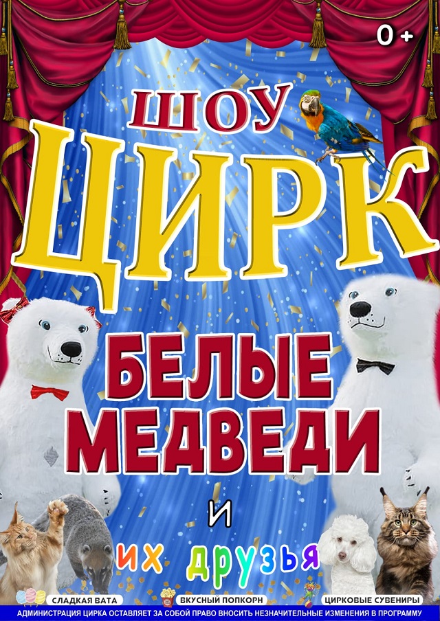 IMG 20231012 WA0128